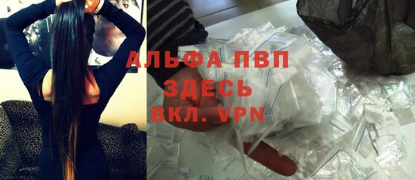 дмт Карпинск