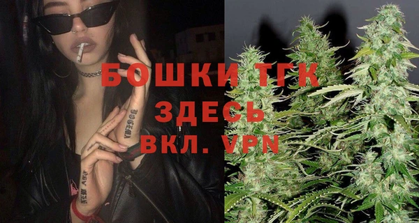 мдпв Касимов